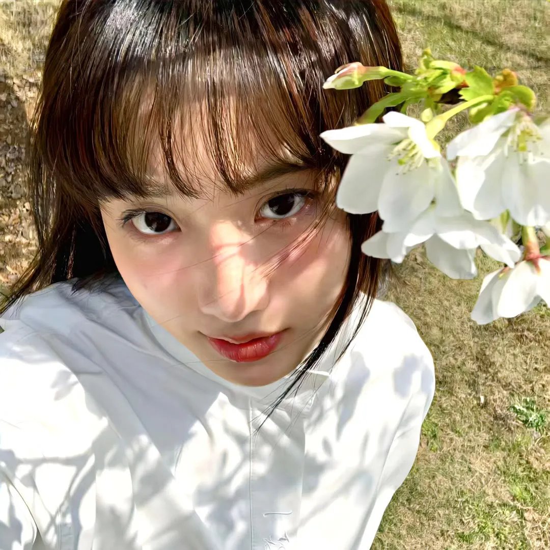 深宫遗梦之美人赦