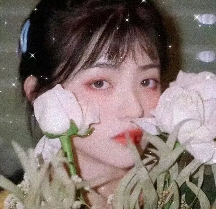 寻找葛莉丝